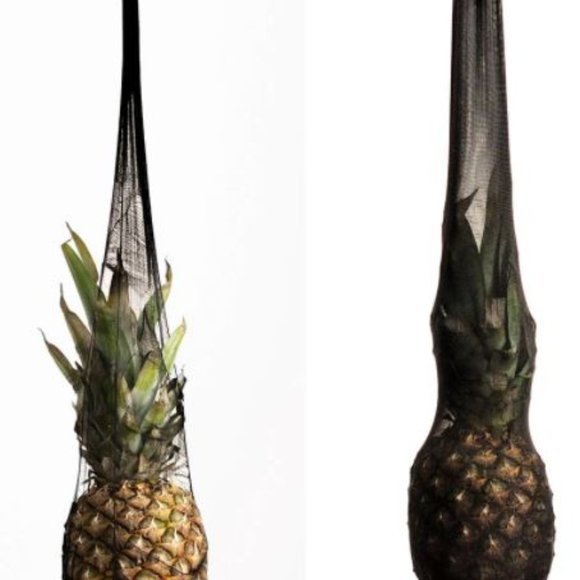 Empetua® Tear-proof Shaping Tights Made by Shapermint - Picture 4 of 4